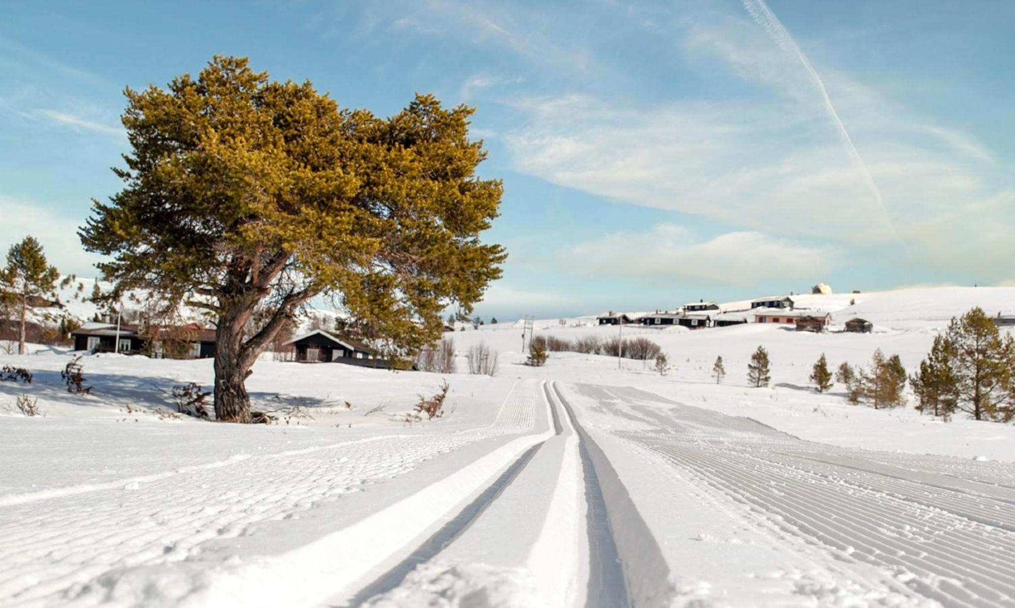 Rondane Haukliseter Fjellhotell Høvringen Exteriör bild